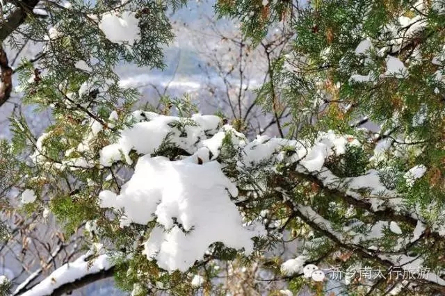 想让你晒得雪景称霸朋友圈吗？那就快来这里吧！