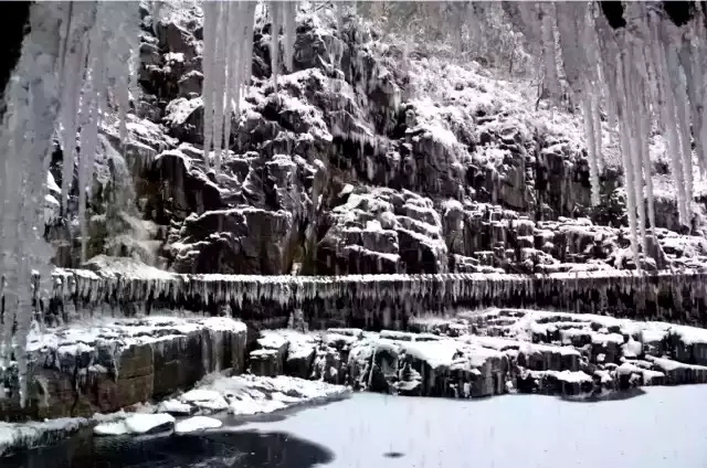 那撩人心魄的“冬美人”，肆意了这里的风花雪月......