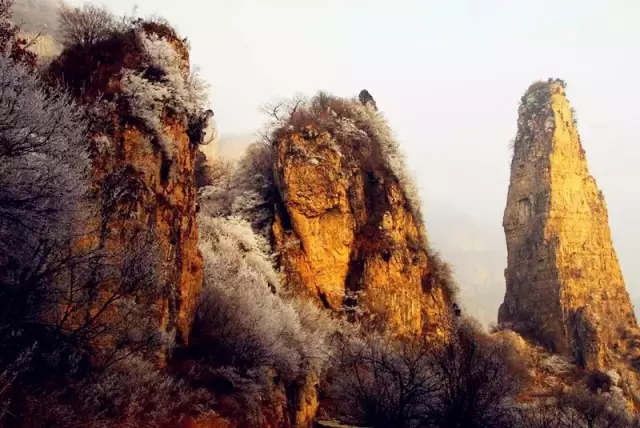 那撩人心魄的“冬美人”，肆意了这里的风花雪月......