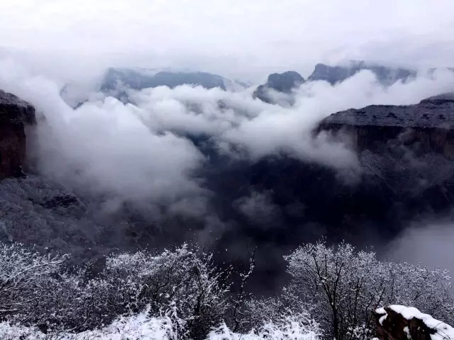 那撩人心魄的“冬美人”，肆意了这里的风花雪月......