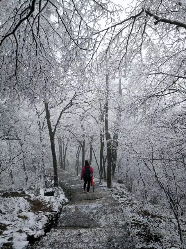 那撩人心魄的“冬美人”，肆意了这里的风花雪月......