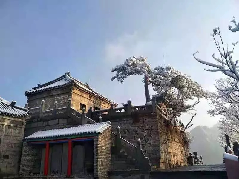 那撩人心魄的“冬美人”，肆意了这里的风花雪月......