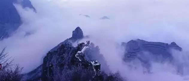 那撩人心魄的“冬美人”，肆意了这里的风花雪月......