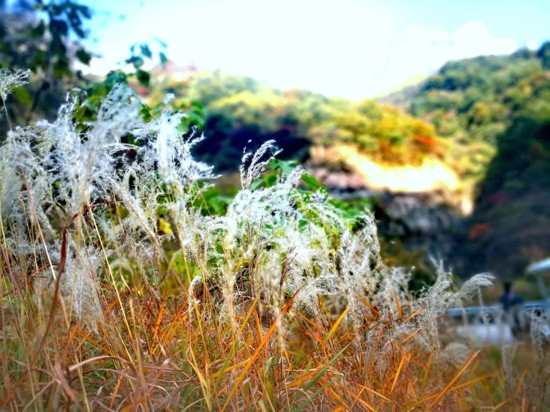 不悔梦归处，只恨太匆匆，记忆中的新乡南太行......