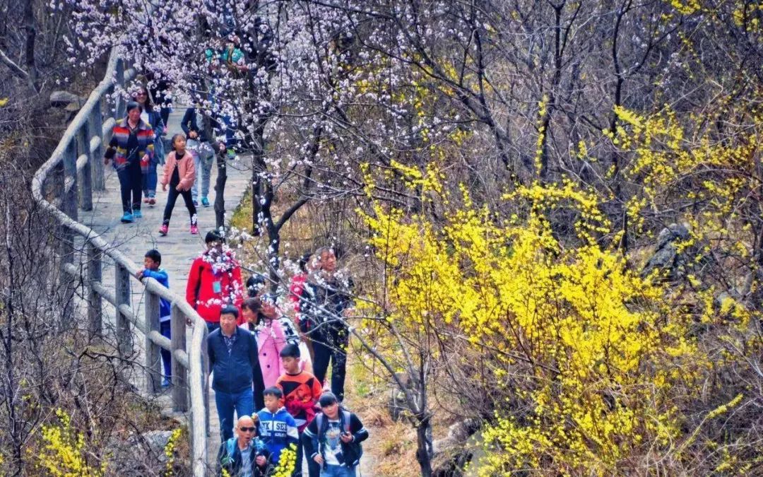 新乡南太行|春之花，夏之瀑，秋之叶，冬之雪四季美景各不同......