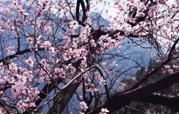 新乡南太行|春之花，夏之瀑，秋之叶，冬之雪四季美景各不同......