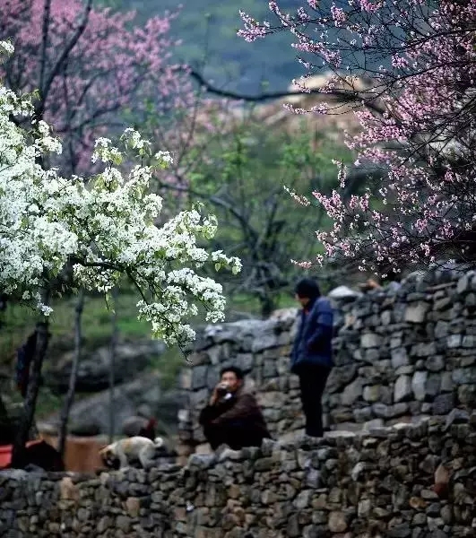 新乡南太行|春之花，夏之瀑，秋之叶，冬之雪四季美景各不同......