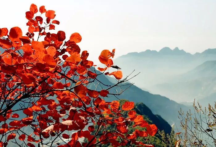 新乡南太行|春之花，夏之瀑，秋之叶，冬之雪四季美景各不同......