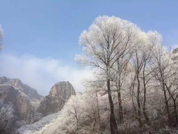 一场冬雪，最美的新乡南太行是这样的......