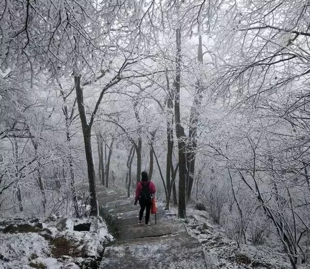 一场冬雪，最美的新乡南太行是这样的......