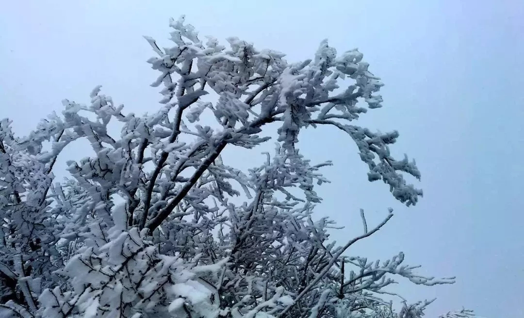 新乡南太行雪后五大好去处，美得让人窒息！