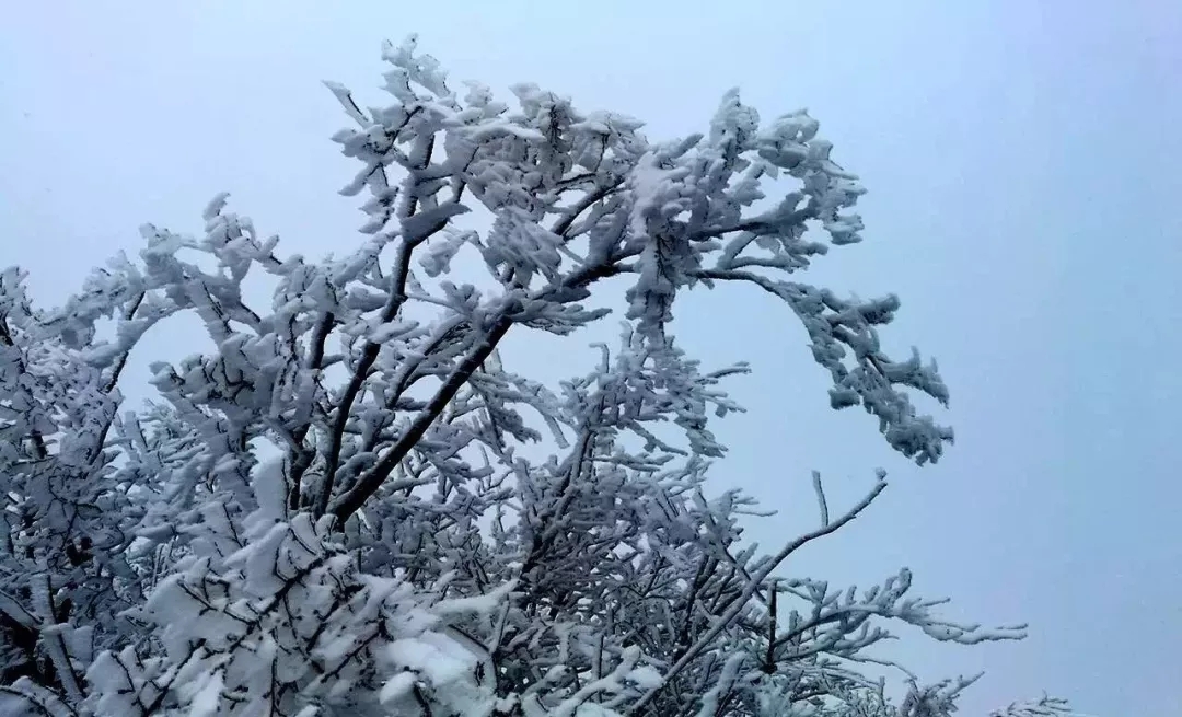 新乡南太行雪后五大好去处，美得让人窒息！