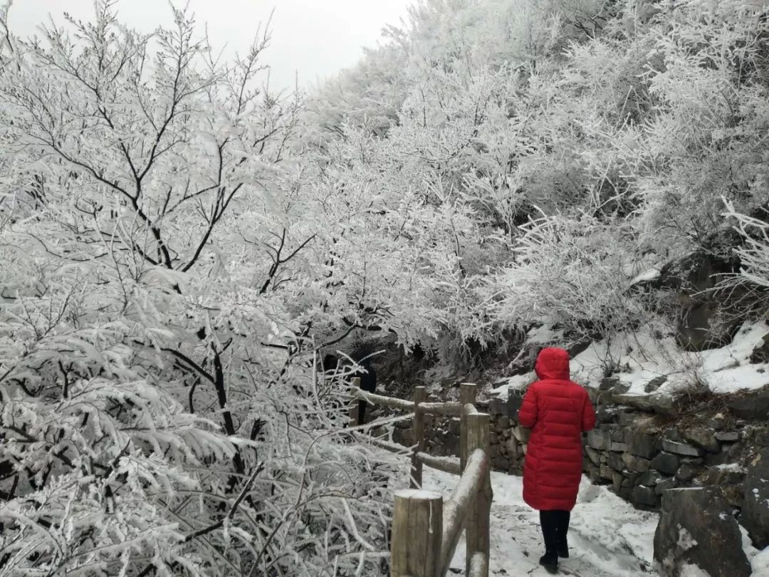 新乡南太行雪后五大好去处，美得让人窒息！