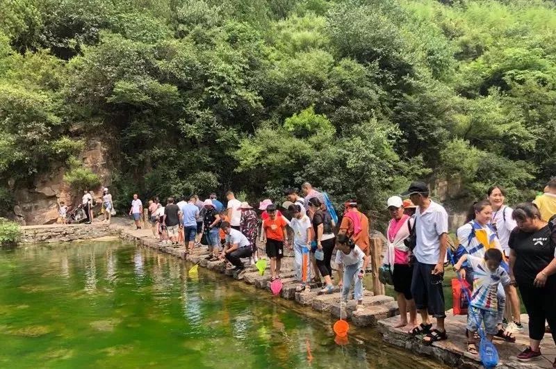 回顾2018，展望2019，新乡南太行提前祝大家元旦快乐！