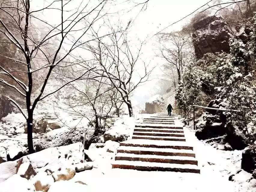 2019初雪|诗情画意冬意浓，风花雪月八里沟