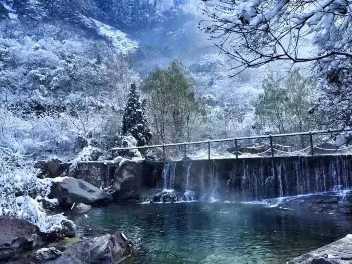 2019初雪|诗情画意冬意浓，风花雪月八里沟