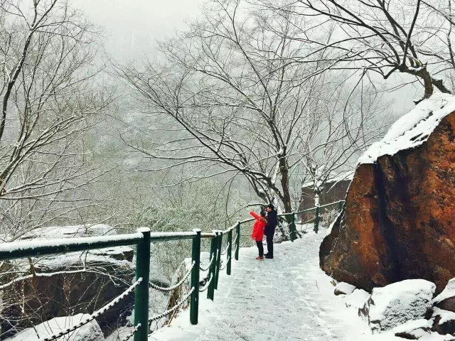 2019初雪|诗情画意冬意浓，风花雪月八里沟