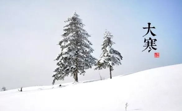 大寒节气|一岁枯荣一岁寒，且待新春暖花开