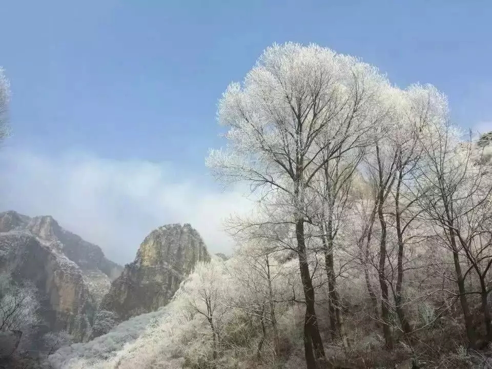 大寒节气|一岁枯荣一岁寒，且待新春暖花开