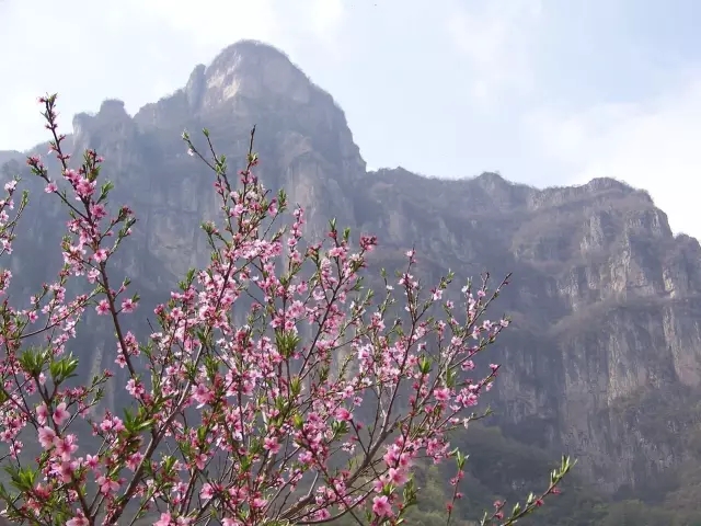 霸气的旅游线路，没来过都不好意思说自己是新乡土著~