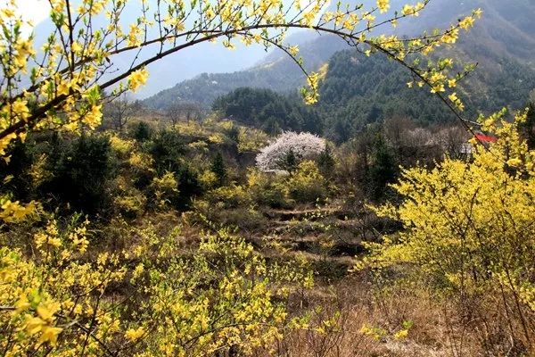 漫长的冬季，是否忘记了这里春夏秋曾经的精彩......