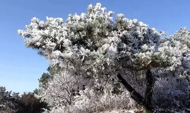 新乡南太行|节后上班，“收心大法”赶紧修炼起来！