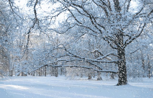 郭亮村又双叒叕下雪了，元宵节一起闹起来!