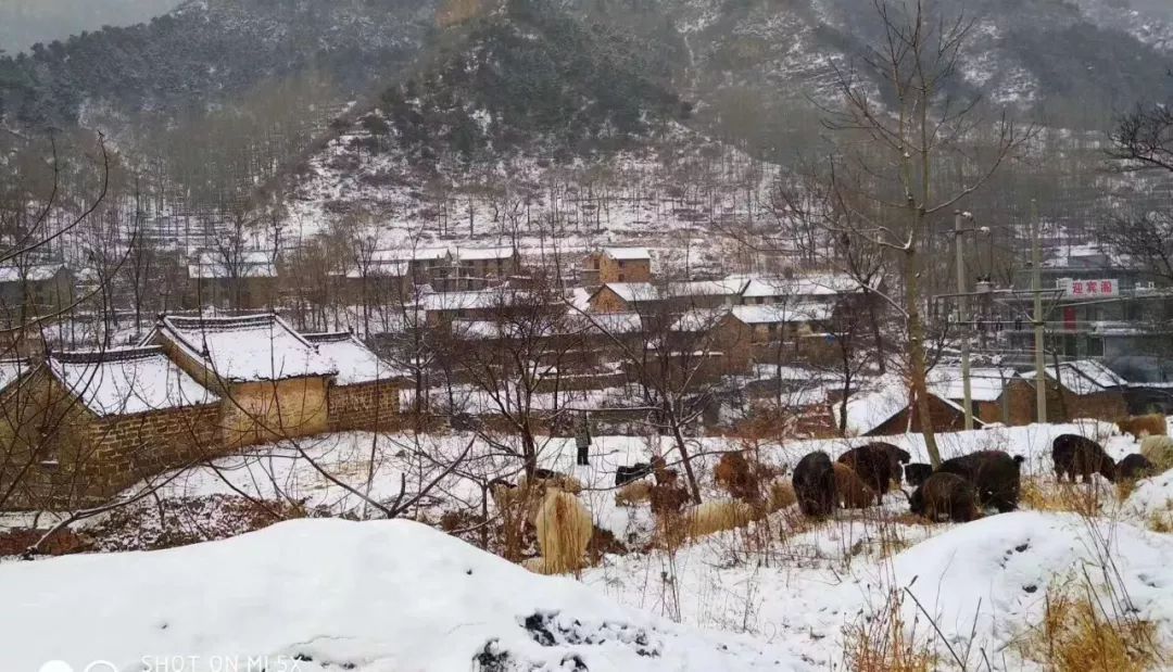 郭亮村又双叒叕下雪了，元宵节一起闹起来!