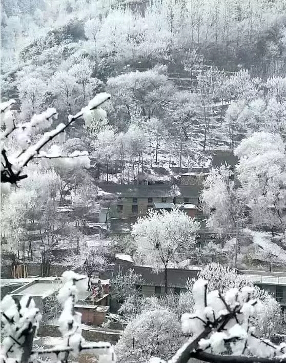 郭亮村又双叒叕下雪了，元宵节一起闹起来!