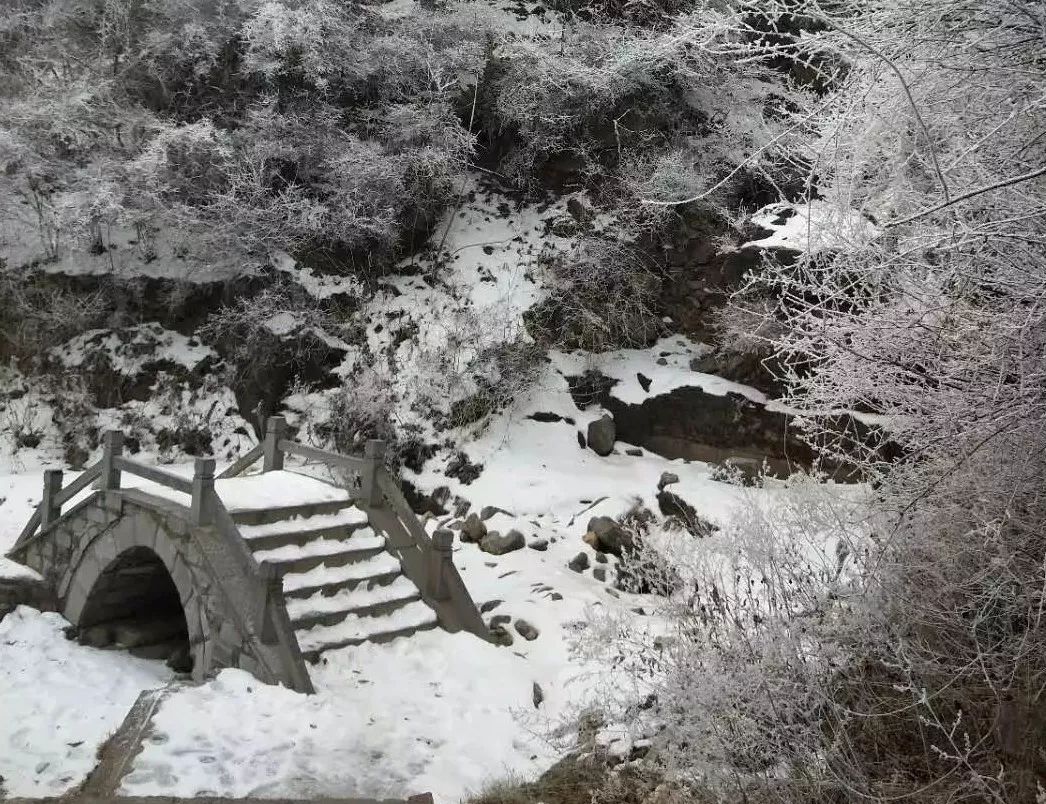 2月你好|踏雪赏冰辞旧岁，瑞雪纷飞迎新年。