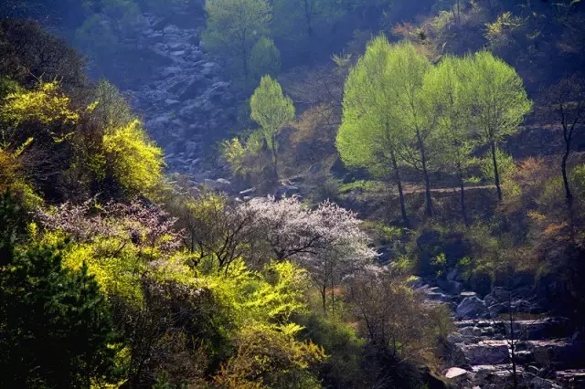 穿越时空隧道，抢看花海预告！