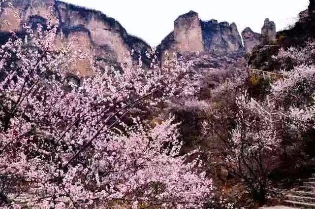 三八女神节，新乡南太行所有景区都是免免免！（详情猛戳）