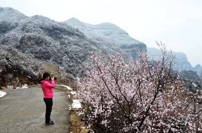 三八女神节，新乡南太行所有景区都是免免免！（详情猛戳）