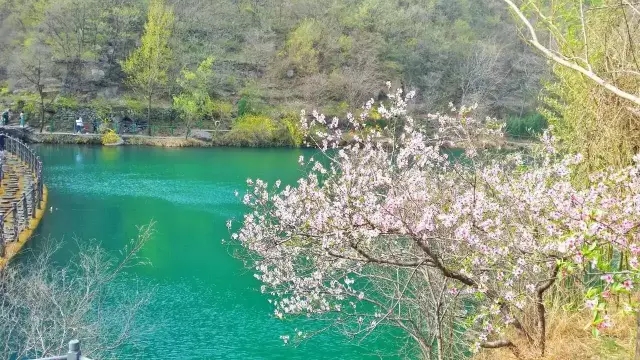 春回太行·扬帆起航 | 又到一年桃花季，梦中桃源此处寻！