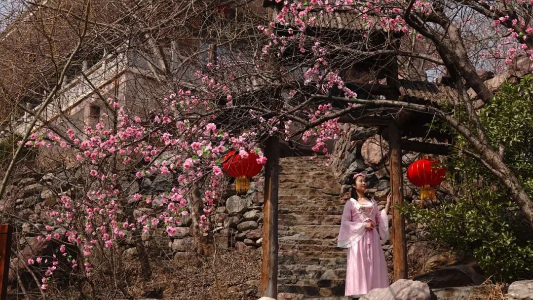 春回太行·扬帆起航 | 又到一年桃花季，梦中桃源此处寻！