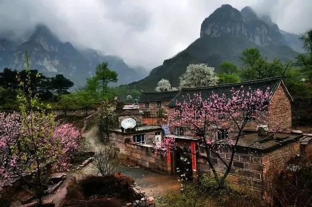 春回太行·扬帆起航 | 又到一年桃花季，梦中桃源此处寻！