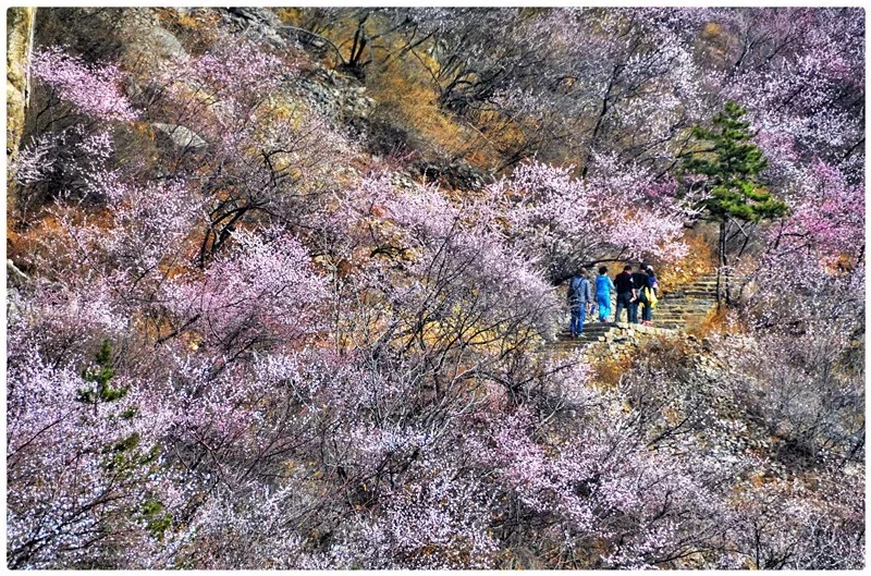 春暖花开，我和新乡南太行有个约“惠”！