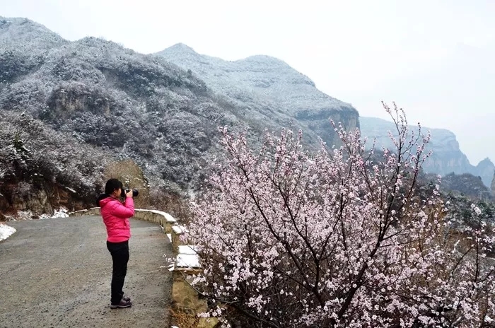 桃花渐欲迷人眼，秋沟景区待君归。