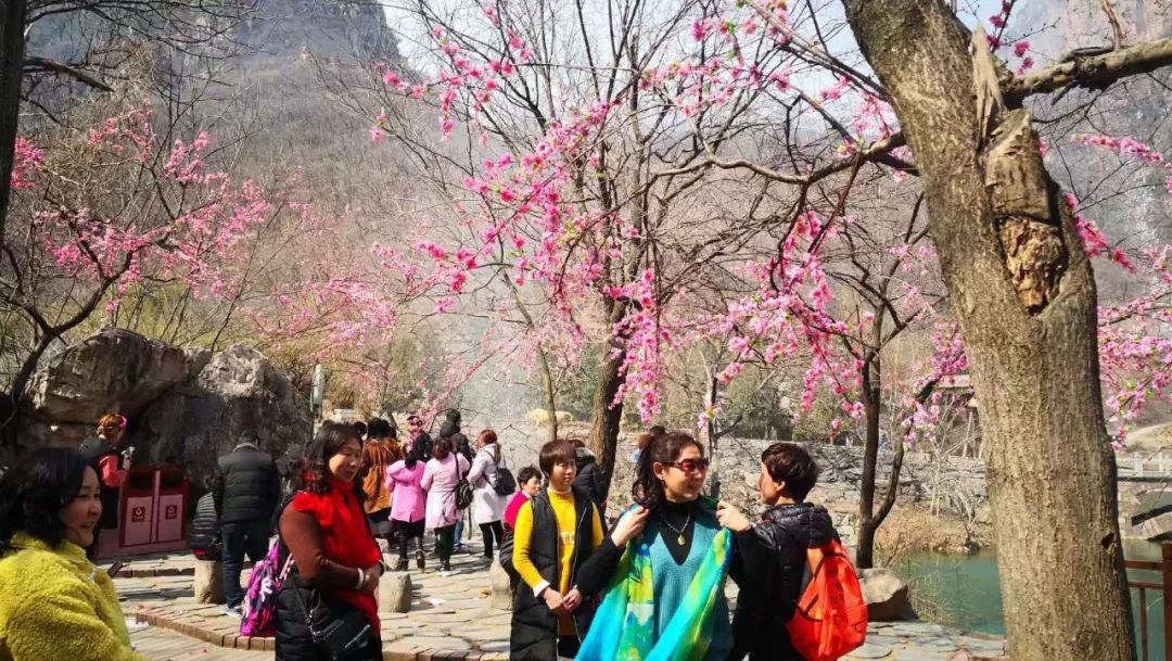 春暖花开，新乡南太行喜迎客流高峰！