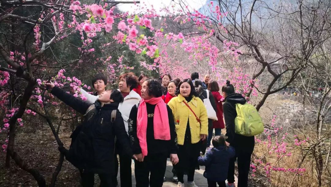 春暖花开，新乡南太行喜迎客流高峰！