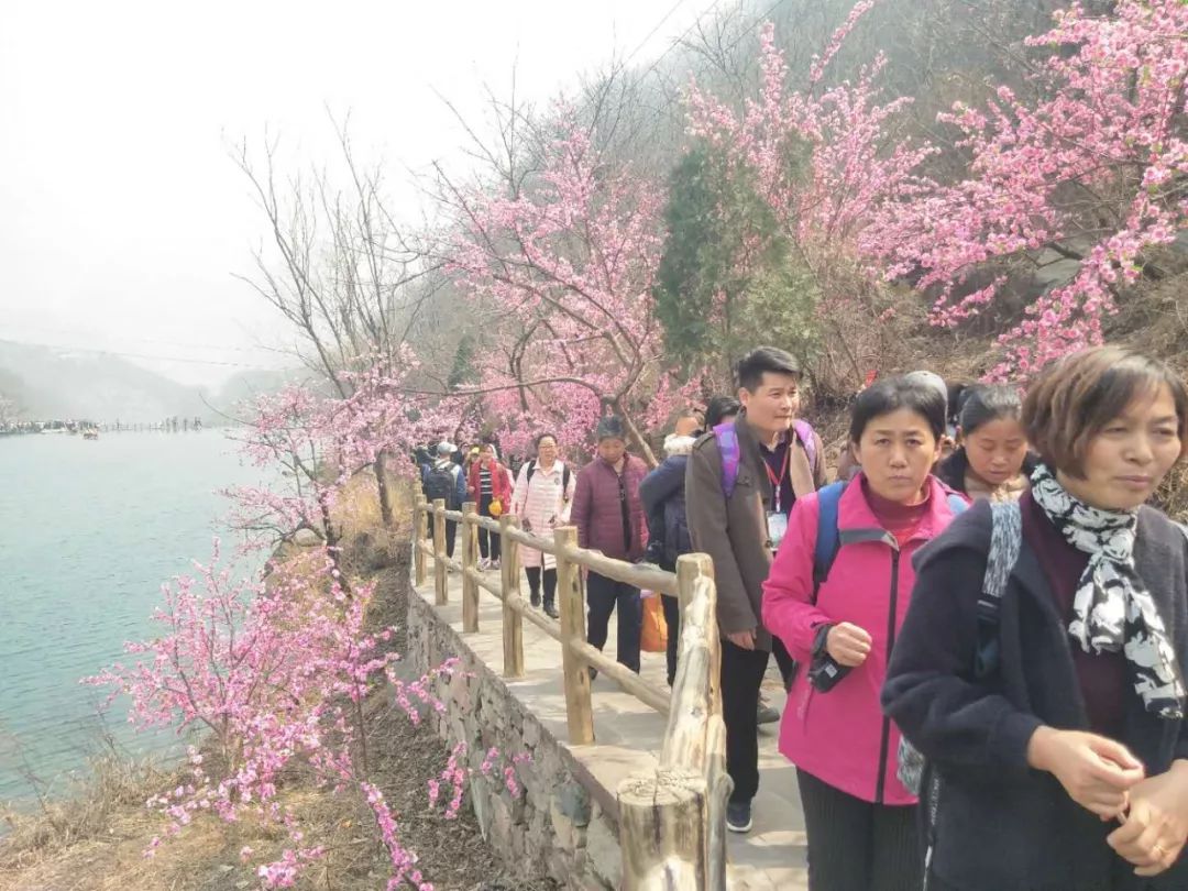 春暖花开，新乡南太行喜迎客流高峰！