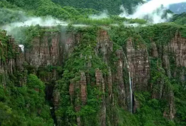 【 植树节】万仙山植树的故事——五峰山万亩松林