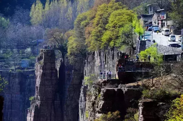 【 植树节】万仙山植树的故事——五峰山万亩松林