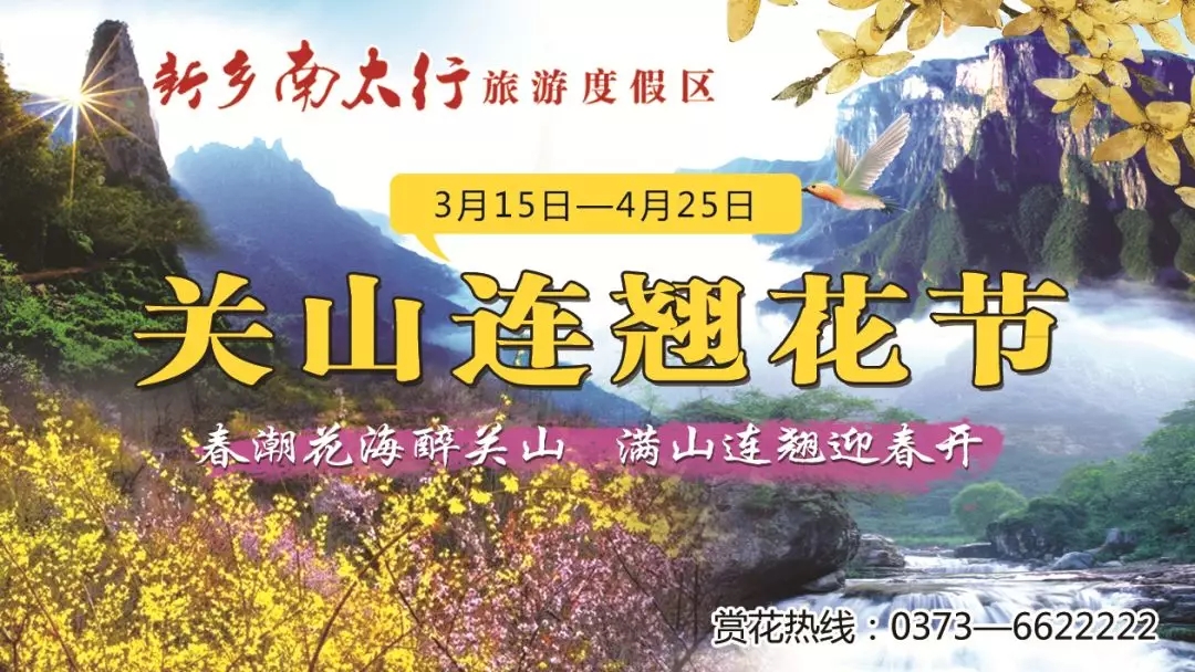 重磅消息|新乡南太行第七届关山连翘节全面启动，相约关山，不见不散！