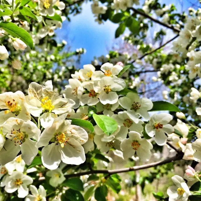 新乡南太行|花式游玩，美出新天际！