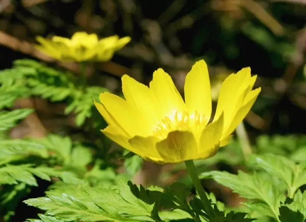 【春花·舞太行】春风十里，去看那花花世界，让你独享春色...