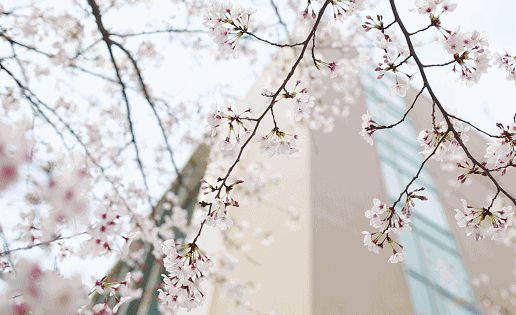 【春花·舞太行】春风十里，去看那花花世界，让你独享春色...