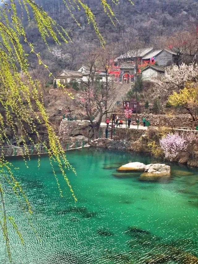 “桃”醉在有诗和远方的春天里，八里沟打卡正当时......