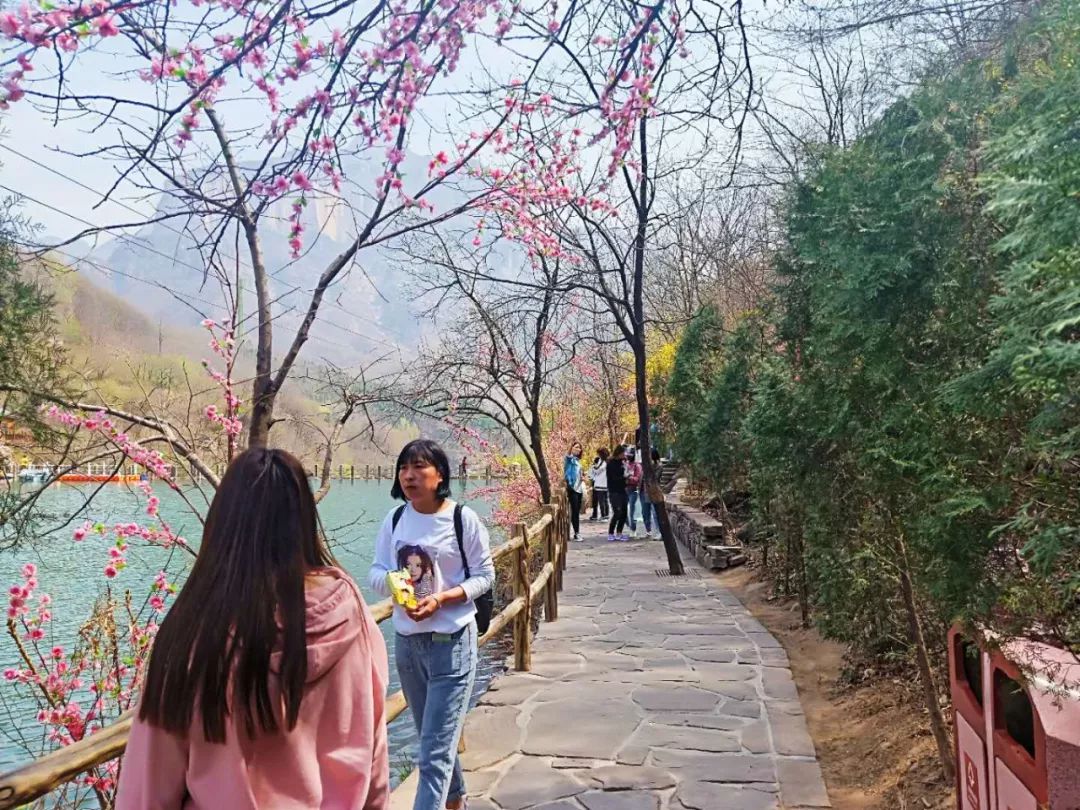 “桃”醉在有诗和远方的春天里，八里沟打卡正当时......
