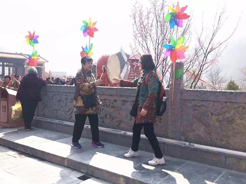 春风十里，不如有你陪伴